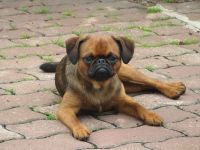Oberon, 10 mes