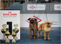 Оберон и Алиса на выставке в Лейпциге