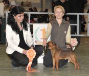 Oberon 15 mes