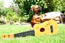 Merilend Wonderful Life