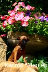 Merilend Wonderful Life