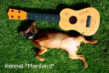 Merilend Wonderful Life